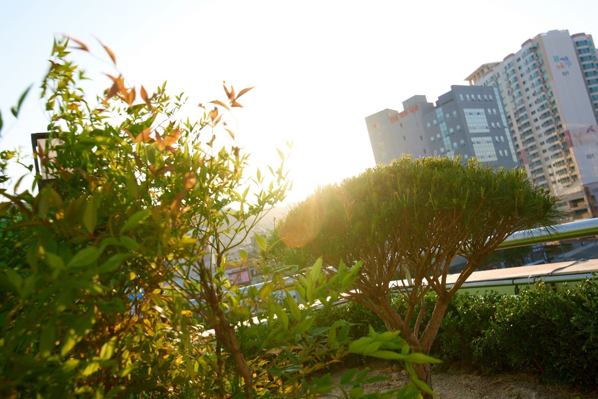 24 Guesthouse Jagalchi Busan Exterior photo